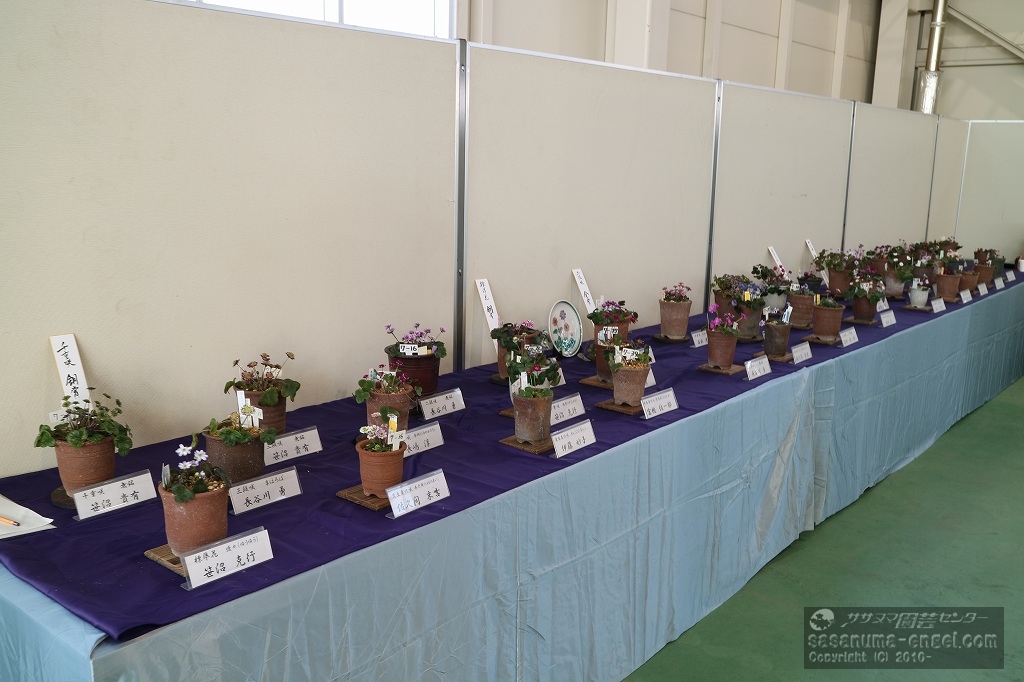 展示場風景 展示場風景