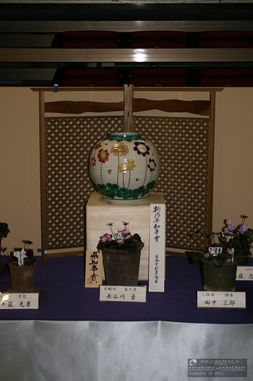 県知事賞展示風景