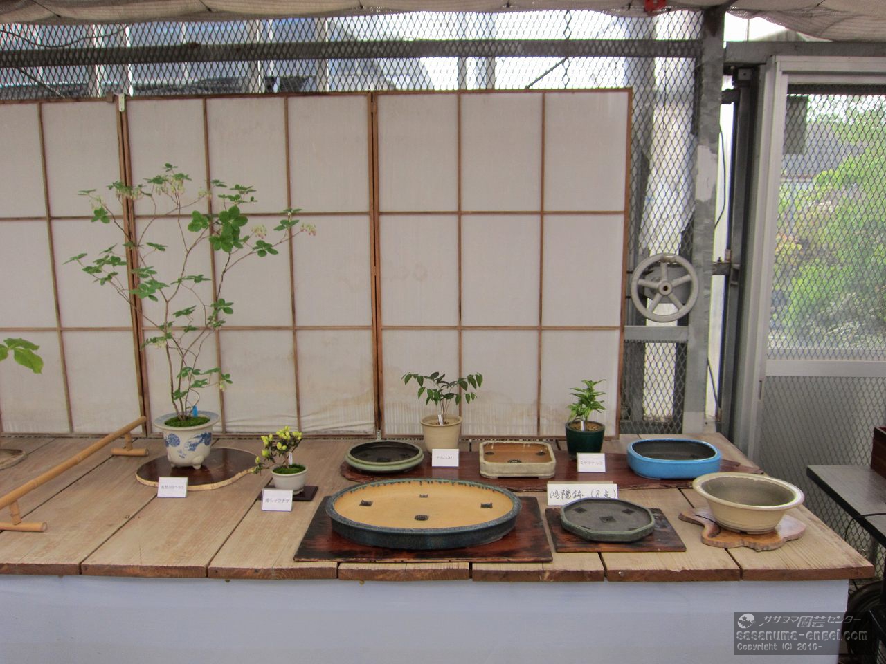 鴻陽鉢（8点）、ナルコユリ、ミヤマナルコ、姫シャクナゲ、鬼怒川ヨウラク