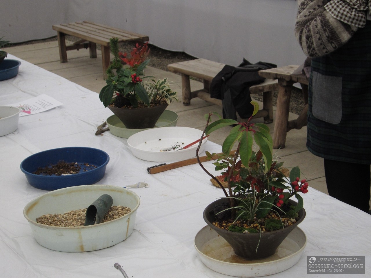 平成３０年開催の寄せ植え教室風景です。
