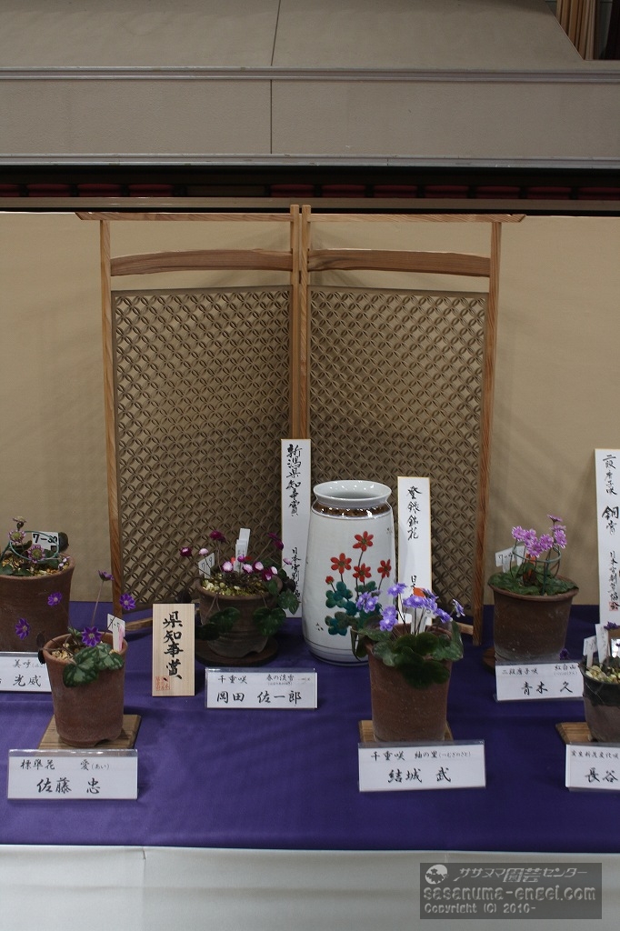 新潟県知事賞「春の淡雪」と副賞の九谷焼壺