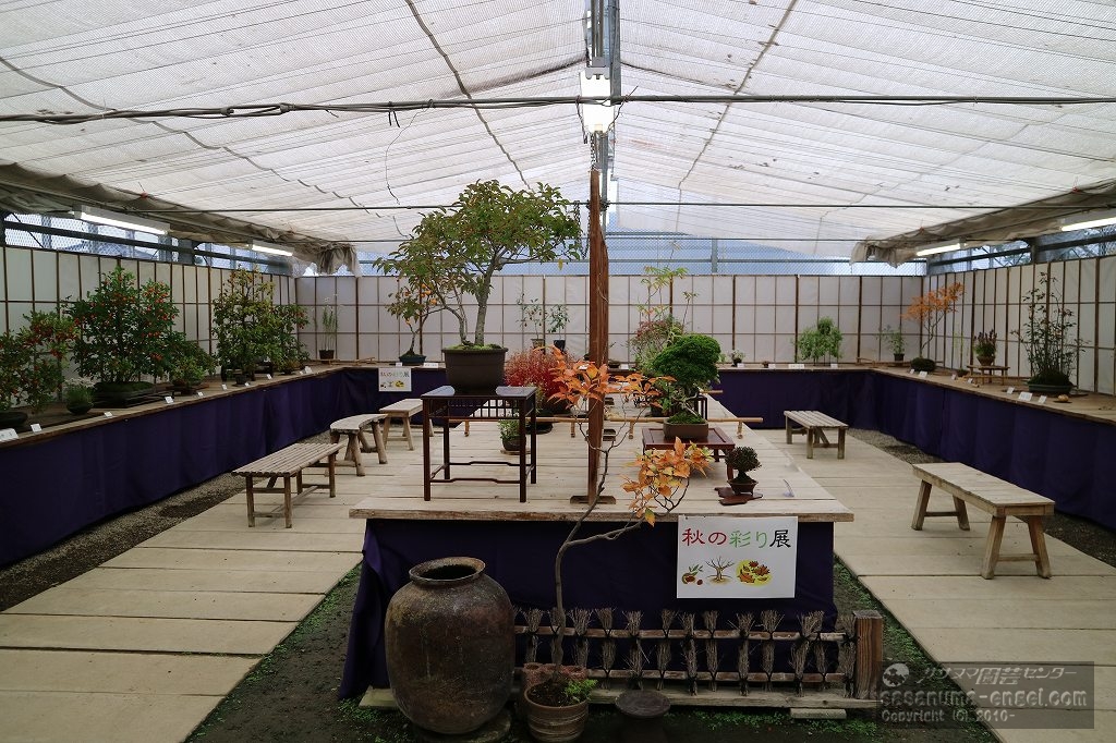 展示室風景(写真は令和6年のものです) 展示室風景(写真は令和6年のものです)