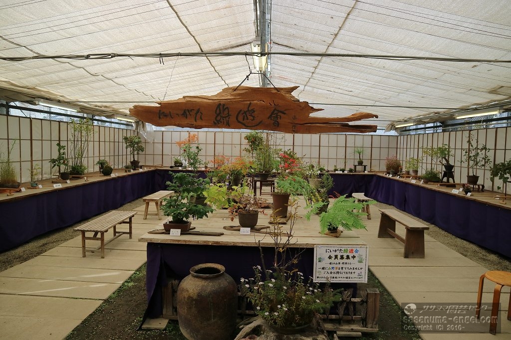 展示室風景 展示室風景