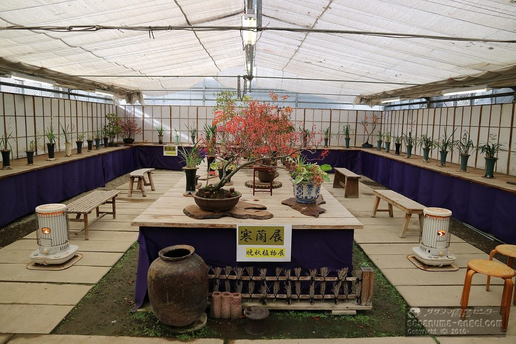 展示室風景(写真は令和6年のものです) 展示室風景(写真は令和6年のものです)