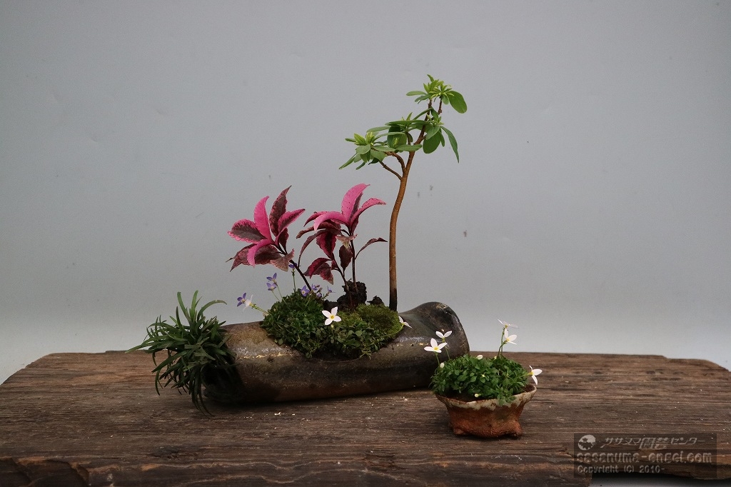 生徒さんの作品(写真は令和6年のものです) 生徒さんの作品(写真は令和6年のものです)