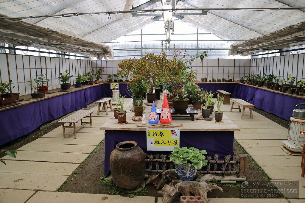 展示室風景(写真は令和7年1月のものです) 展示室風景(写真は令和7年1月のものです)